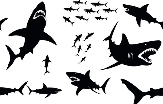 Seamless pattern with silhouettes of sharks
