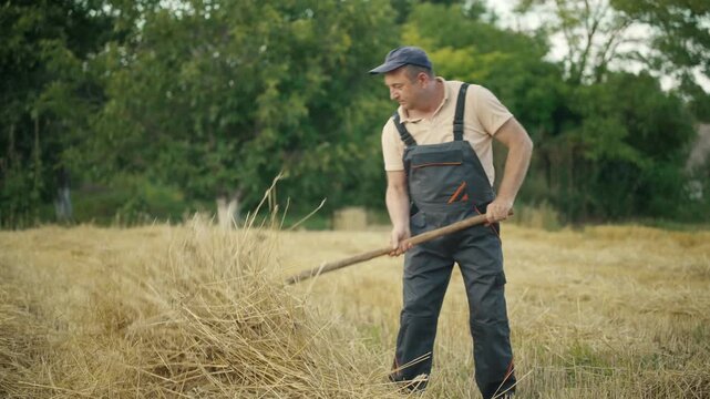 Male farmer in gray overalls and blue cap lifts a pitchfork full of straw, tossing it into the air while working in a sunlit field surrounded by greenery and harvested crops