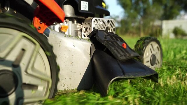 Mower cuts green grass with sharp precision. Blades spin fast, slicing tall blades. Sunlight glints off metal housing. Lawn mower moves forward through grass. Garden work captured in crisp motion