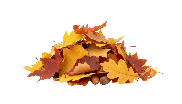 Autumn maple leaves pile, colorful fall foliage close-up, dry orange yellow leaf texture for seasonal nature design isolated PNG with Transparent Background
