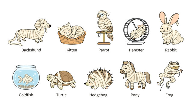 Collection of cute cartoon animals including dog, cat, bird, hamster, rabbit, fish, turtle, hedgehog, pig, frog illustrations
