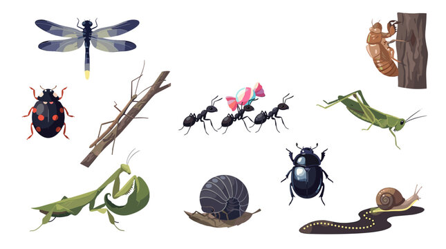 Collection of various insects and small creatures including beetles ants and worms