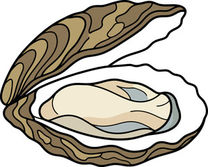 Open oyster shell with pearl © Safwan Creatives