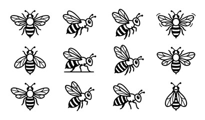 Fototapeta premium Minimal Monochrome Honey Bee Line Art Vector Collection