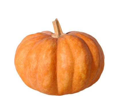 Orange Pumpkin isolated on white background, 