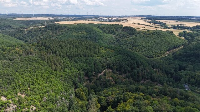 Landschaft im Hunsr&uuml;ck