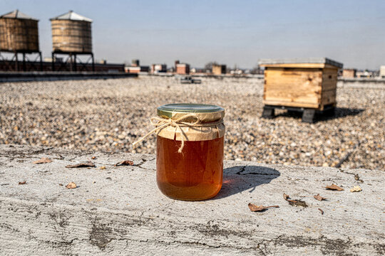 Jar of Urban Rooftop Honey with Beehive and Water Towers