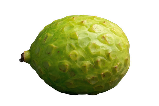 Round green noni fruit with textured tropical skin