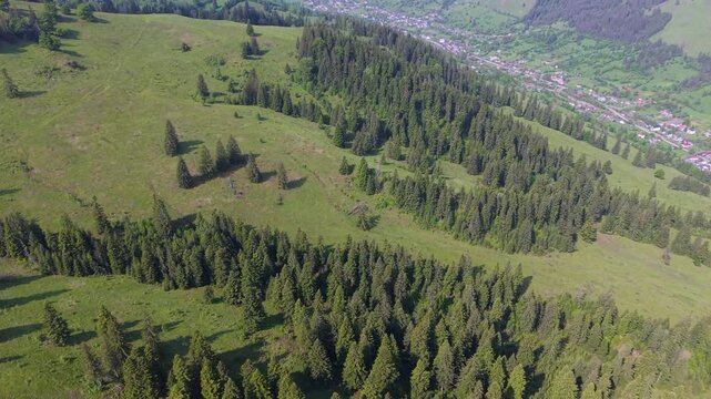 Stunning aerial footage flying over a lush green landscape with fir forests and rolling hills, revealing a picturesque village in a valley