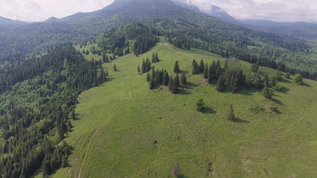 Picturesque aerial view flying over vast green meadows and dense pine forests. Majestic Carpathian mountain scenery in the Moldova region