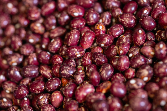 Close up of pinto beans forming natural textured background