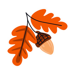Oak leaves with acorn isolated on white background. Hand drawn autumn vector illustration. Element for seasonal nature design, card, prints © Peviotadesign