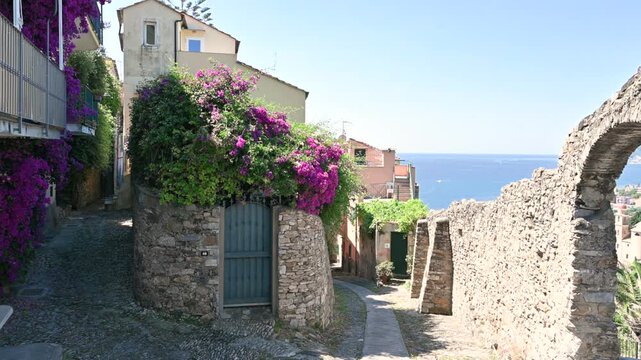 Cervo, liguria, italy. June 22, 2025. Picturesque narrow street in the historic center of cervo, a medieval village on the ligurian riviera, with purple bougainvillea flowers