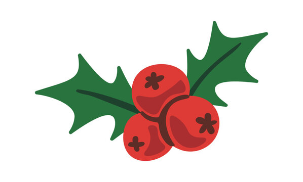Holly Berry Cluster With Leaves Cartoon