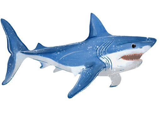 Shark made in Procreate in Watercolour technique. JPEG file. 300 DPI