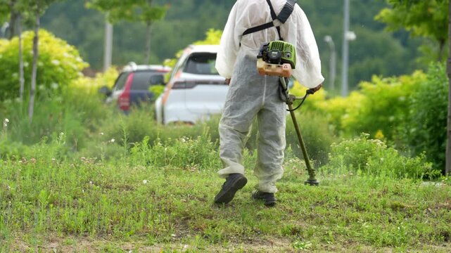Worker in white overalls uses a string trimmer. They concentrate on cutting green grass. Cars and trees form the background. This shows outdoor lawn maintenance