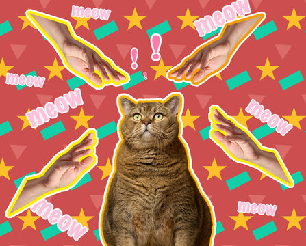 A creative pop art collage featuring a cat surrounded by reaching hands, exclamation marks, and meows