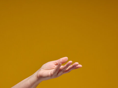 An open female palm in a gesture of holding or showing an object