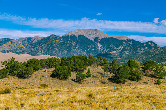Rugged mountain peak rises above pinyon pines and golden grassland near the sand dunes at Great Sand Dunes National Park.