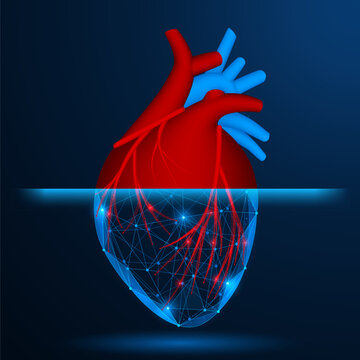 Digital scanning of the human heart. The concept of research of the cardiovascular system, medical imaging, computer diagnostics and the development of digital healthcare.