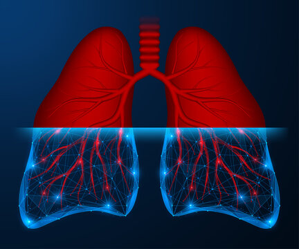Digital scanning of human lungs. The concept of the transition from traditional medicine to digital healthcare, computer diagnostics and modern technologies for analyzing the respiratory system.