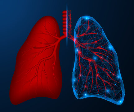 Transformation of the human lung. The transition of an anatomical organ with a vascular system into a digital model of lines and dots. The concept of data analysis in the field of healthcare.