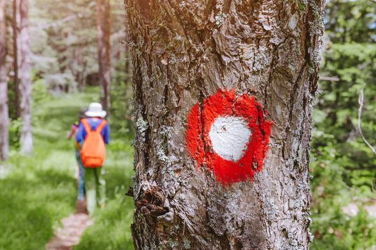 Red painted trail marker on tree bark with hiker walking forest path. Adventure concept.