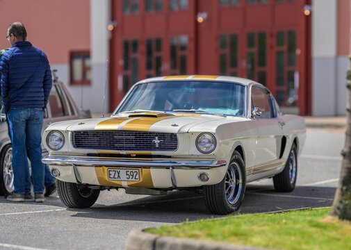 Gothenburg, Sweden - May 30 2026: 1965 Ford Mustang Shelby style coupe with gold racing stripes.