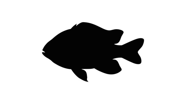 Black silhouette of a freshwater sunfish.