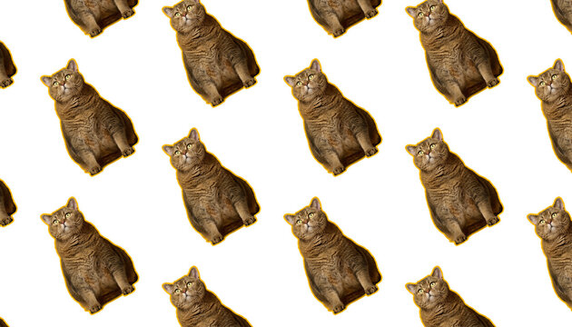 Seamless pattern of repeating sitting ginger cats with yellow outline on isolated background.