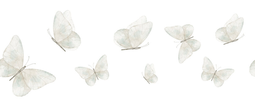 Watercolor Butterfly seamless Border on isolated background in delicate pastel colors. Pattern with moth for wedding invitations, baby shower stationery, nursery decor and greeting gards.
