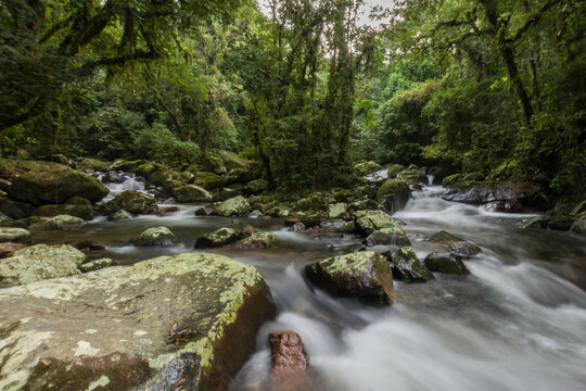 Imagem de cascata na floresta