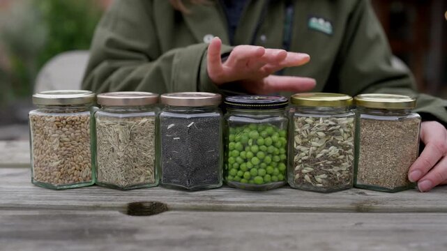 Farmer showing different types of seeds, grains, and legumes in glass jars on a wooden table
