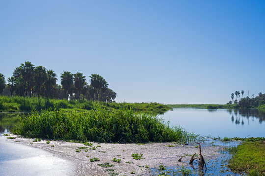 san jose del cabo estuary wetlands of baja california mexico
