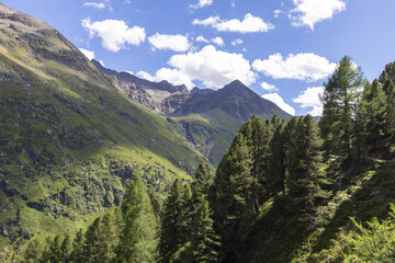 Fototapeta premium Idyllisches Alpental mit Bergbach und grünen Berghängen