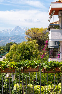Vertical scenic view from residential balcony with potted strawberry plants towards lush green trees and snow covered mountain peak under blue sky in Italy.