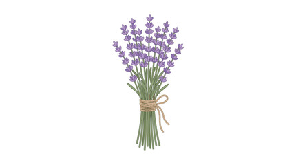 Fototapeta premium A charming illustration of a bouquet of fresh lavender flowers tied with a rustic twine bow on a white background