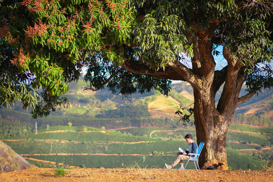 Young Brazilian man reading a book under a large tree with a scenic countryside view, representing education, relaxation, mindfulness, leisure, and the pleasure of reading outdoors.