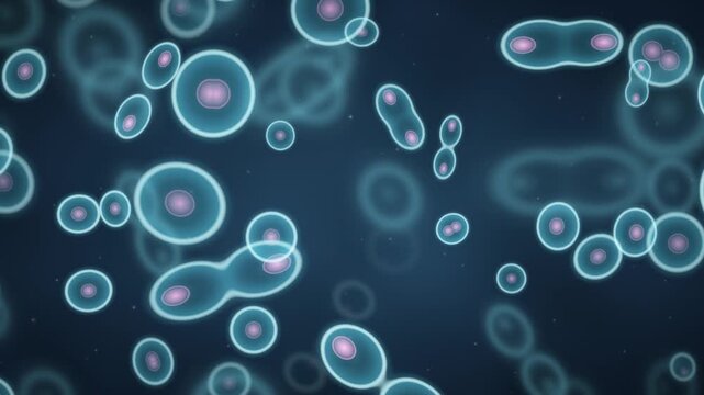 Cell Division Mitosis Microscope Biology Science Motion Background Seamless Loop in deep cyan tones