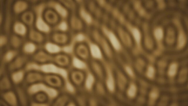 Abstract wave interference moire fringe ripple background seamless loop in rich amber tones 2