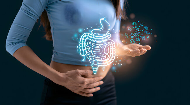 Woman touching her stomach with a glowing intestinal icon. Concepts of digestive health and gut wellbeing. Medical visualization of internal organ function, probiotics, and healthy metabolism.