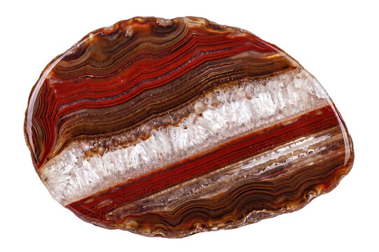 Polished slice of banded agate stone with red and white layers high quality 4K PNG image in high quality 4K PNG image in white background
