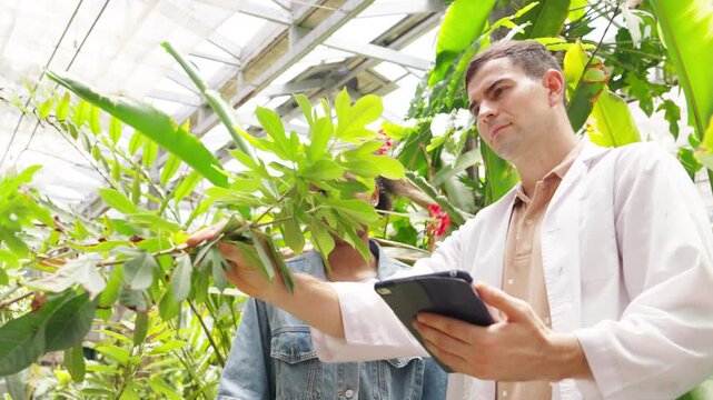 African teenage girl learning plant cultivation with botanist in greenhouse, agriculture education and botany research, sustainable farming, plant science study, environmental ecology technology.