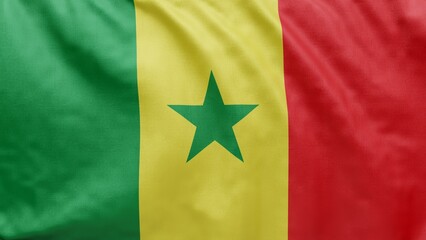 Naklejka premium Senegal flag waves softly in the breeze. Perfect for football, sports event and travel graphic assets. 