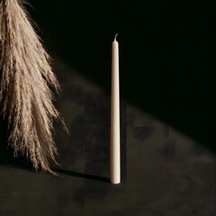 Fototapeta premium Bone-white candle leaning against dried pampas plume, moody negative space