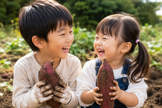 さつまいも Images – Browse 18,175 Stock Photos, Vectors, and Video