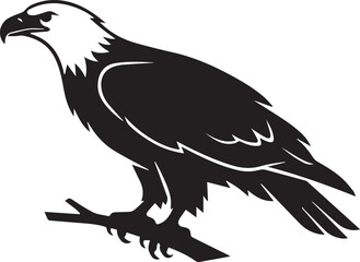 Obraz premium Bald eagle perched on branch silhouette graphic with bird of prey, silhouette