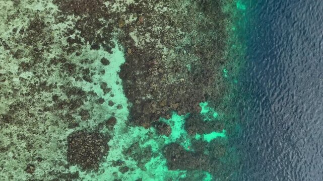 Top down view of a coral reef in clear water, Moalboal, Cebu, Philippines