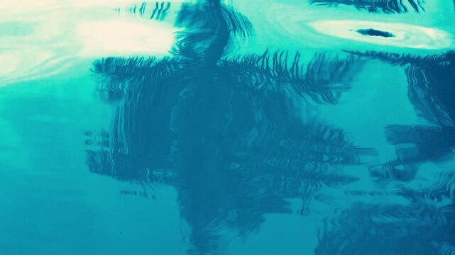 Turquoise swimming pool water rippling with palm tree reflection