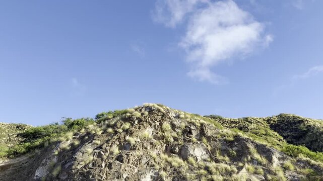 Tuff, a relatively soft, porous rock that is usually formed by the compaction and cementation of volcanic ash or dust. Diamond Head Crater. Oahu, Hawaii. Cenchrus setaceus, crimson fountaingrass